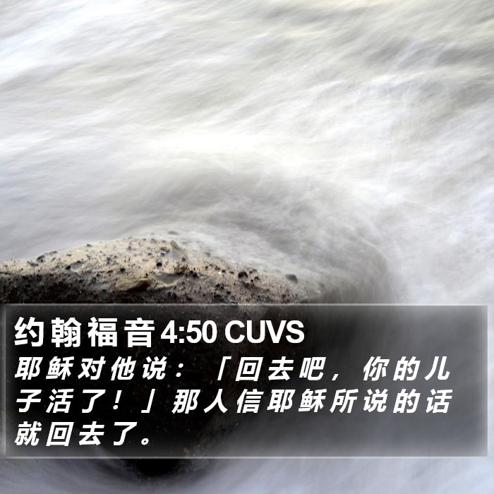 约 翰 福 音 4:50 CUVS Bible Study