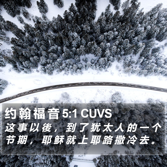 约 翰 福 音 5:1 CUVS Bible Study