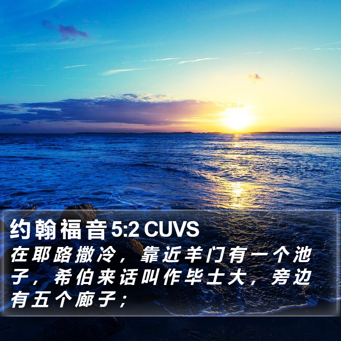 约 翰 福 音 5:2 CUVS Bible Study