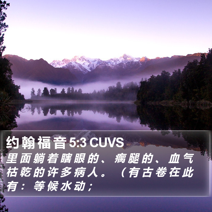 约 翰 福 音 5:3 CUVS Bible Study