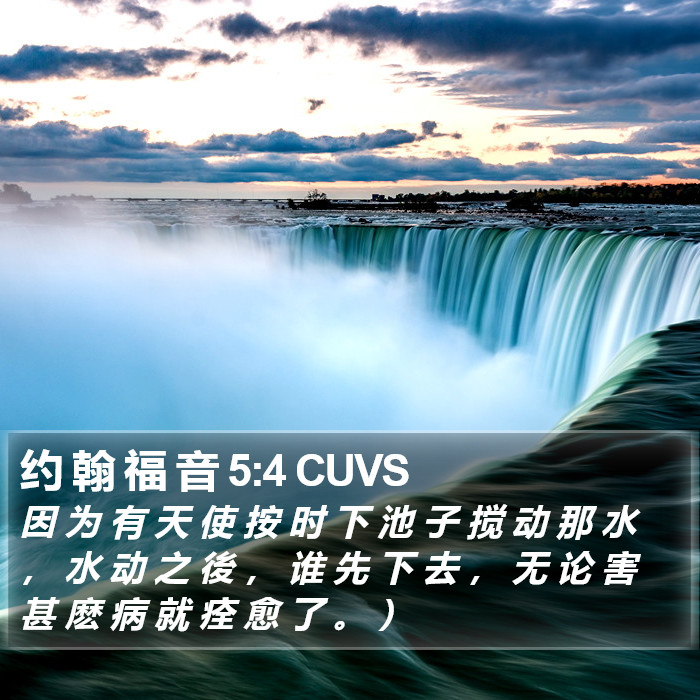 约 翰 福 音 5:4 CUVS Bible Study