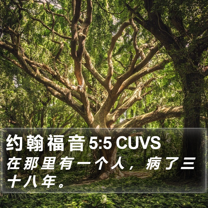 约 翰 福 音 5:5 CUVS Bible Study