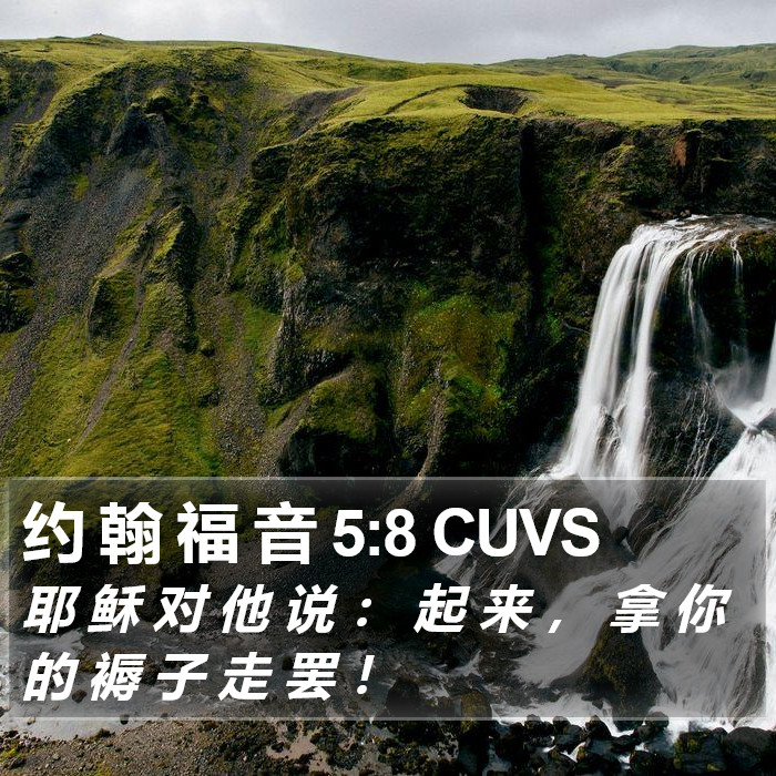 约 翰 福 音 5:8 CUVS Bible Study