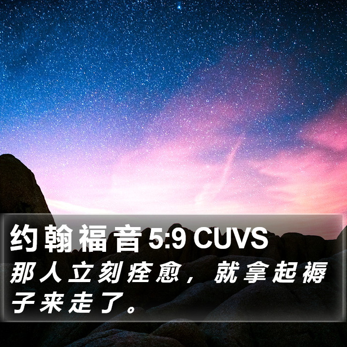 约 翰 福 音 5:9 CUVS Bible Study