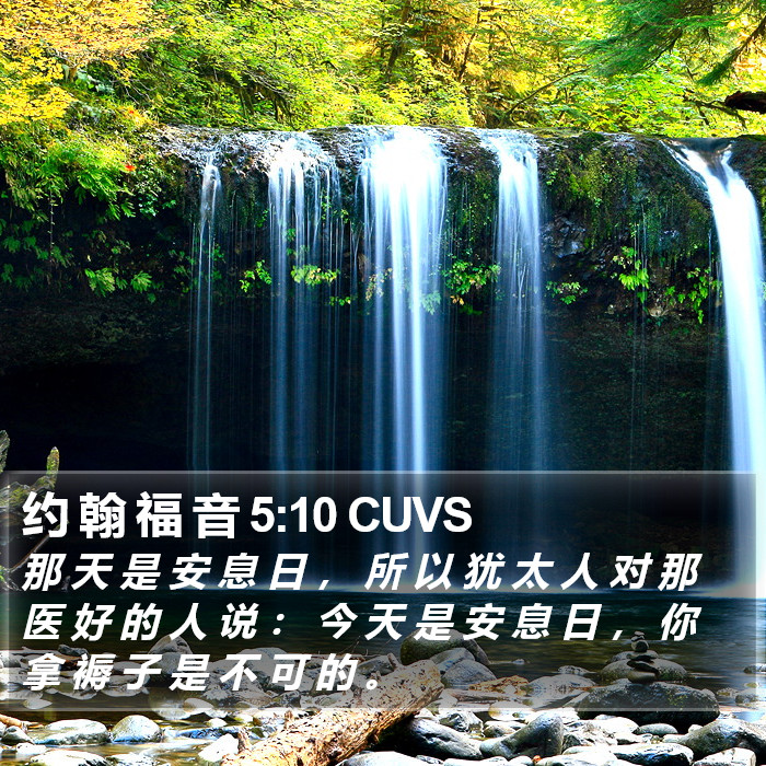 约 翰 福 音 5:10 CUVS Bible Study