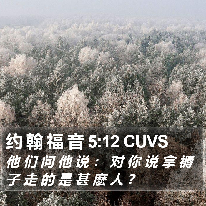 约 翰 福 音 5:12 CUVS Bible Study