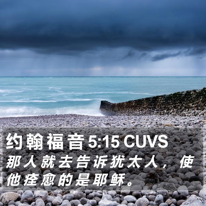 约 翰 福 音 5:15 CUVS Bible Study