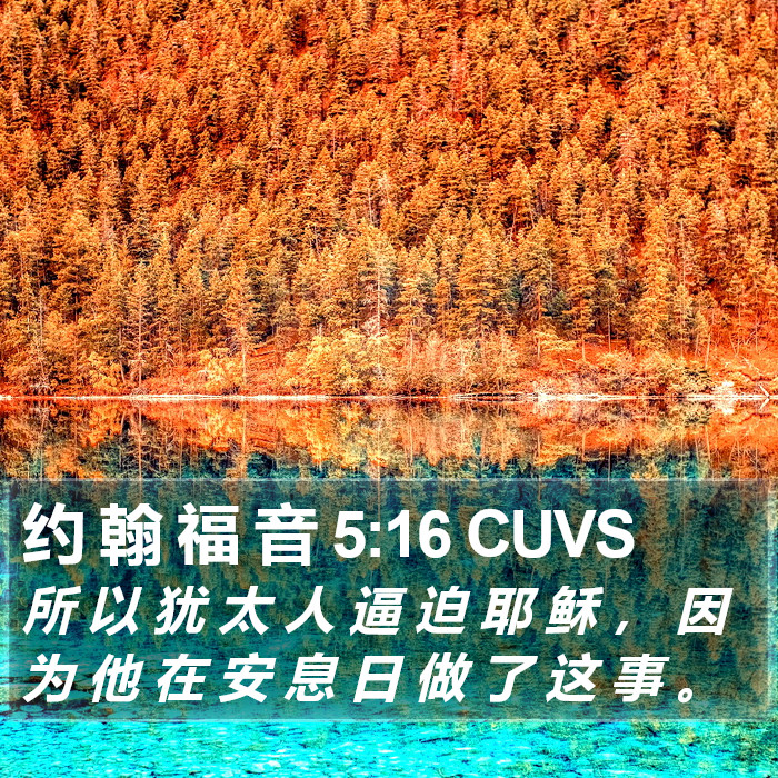 约 翰 福 音 5:16 CUVS Bible Study