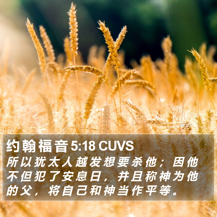 约 翰 福 音 5:18 CUVS Bible Study