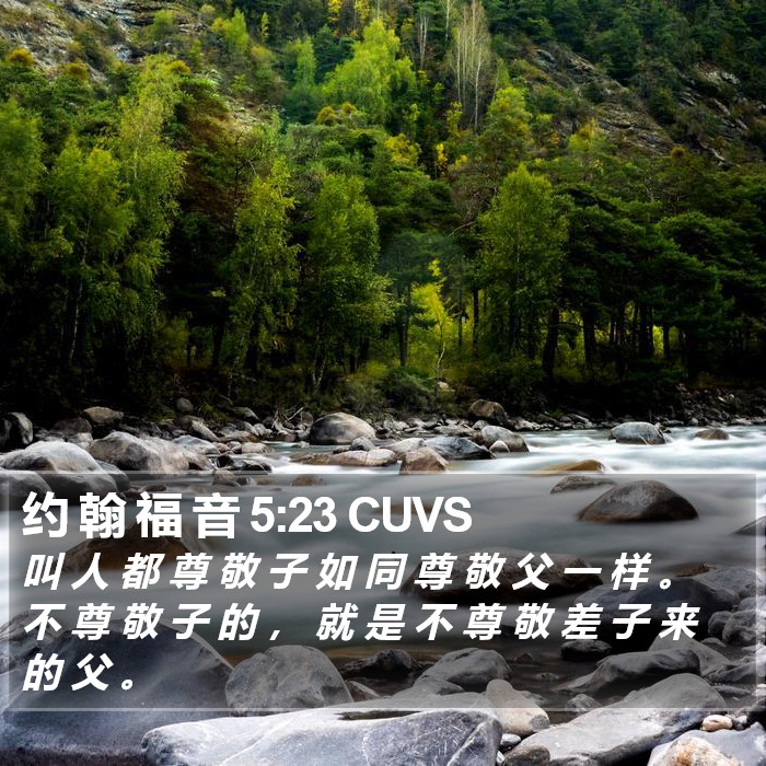 约 翰 福 音 5:23 CUVS Bible Study