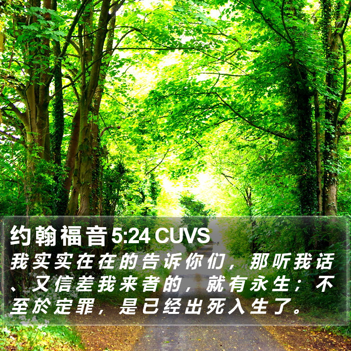 约 翰 福 音 5:24 CUVS Bible Study