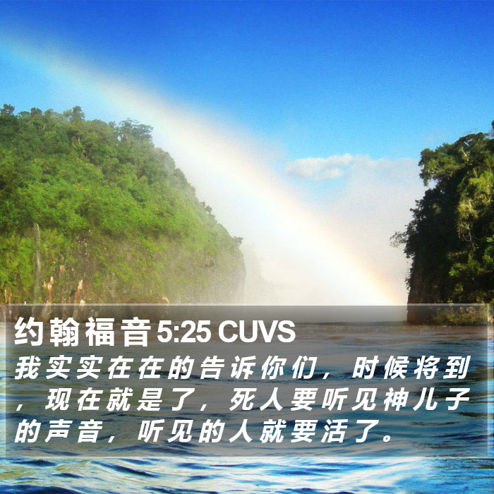 约 翰 福 音 5:25 CUVS Bible Study