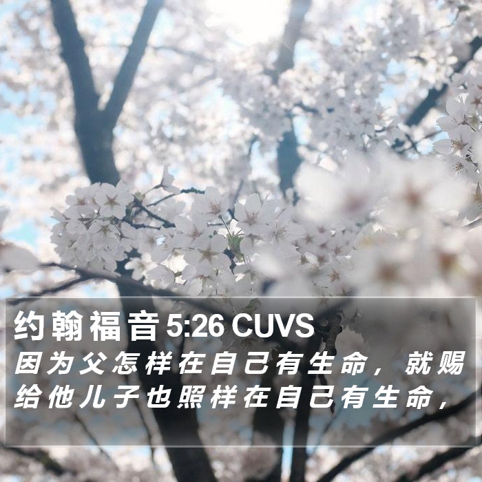 约 翰 福 音 5:26 CUVS Bible Study