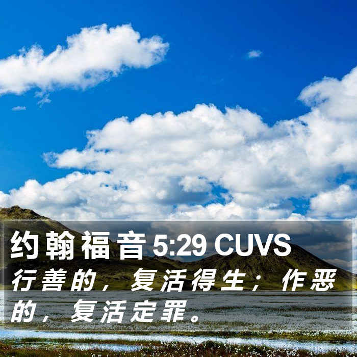 约 翰 福 音 5:29 CUVS Bible Study