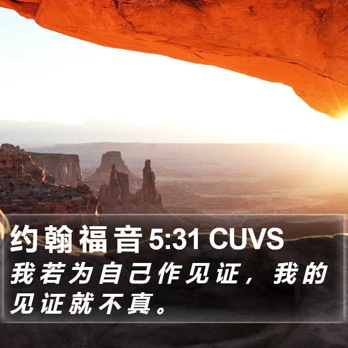 约 翰 福 音 5:31 CUVS Bible Study