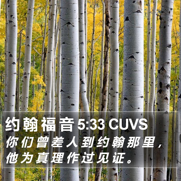 约 翰 福 音 5:33 CUVS Bible Study