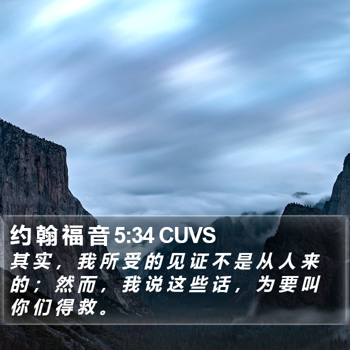 约 翰 福 音 5:34 CUVS Bible Study