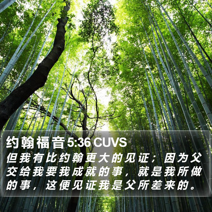 约 翰 福 音 5:36 CUVS Bible Study