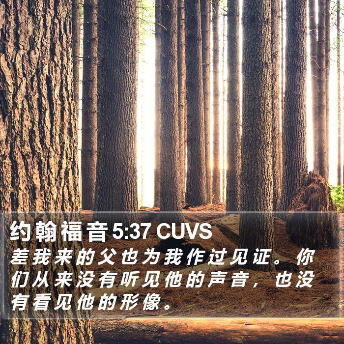 约 翰 福 音 5:37 CUVS Bible Study