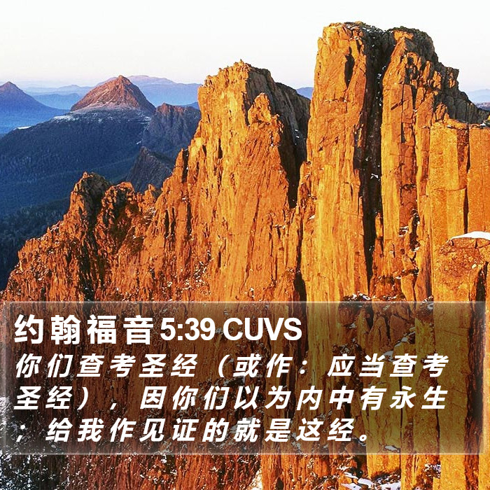 约 翰 福 音 5:39 CUVS Bible Study