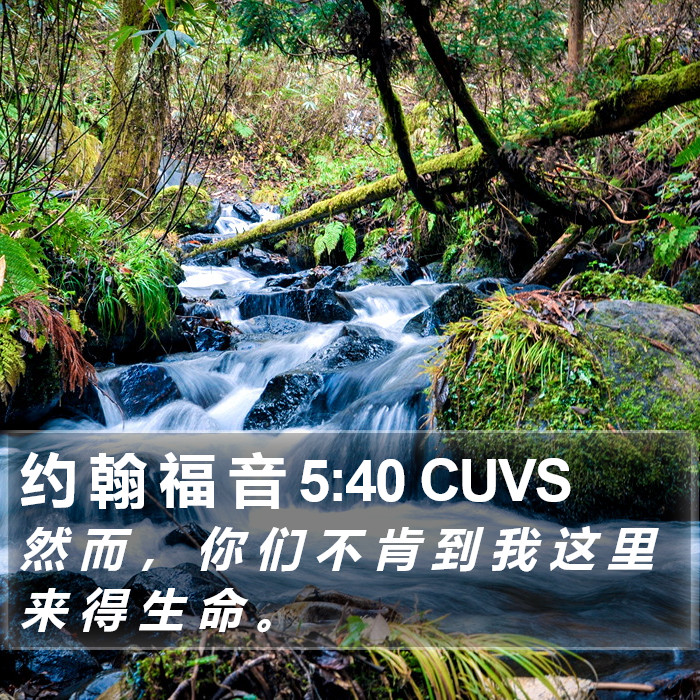 约 翰 福 音 5:40 CUVS Bible Study