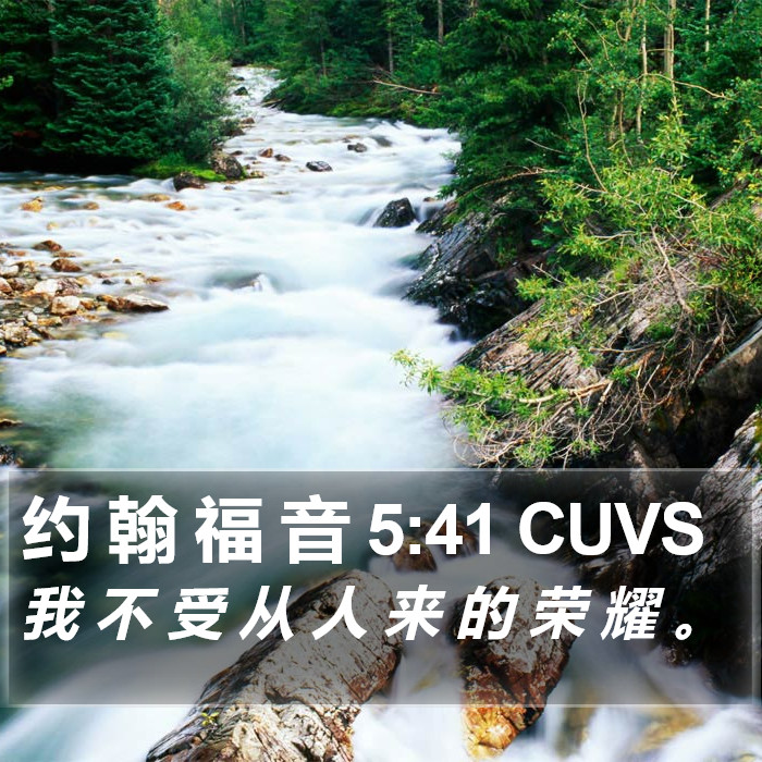 约 翰 福 音 5:41 CUVS Bible Study