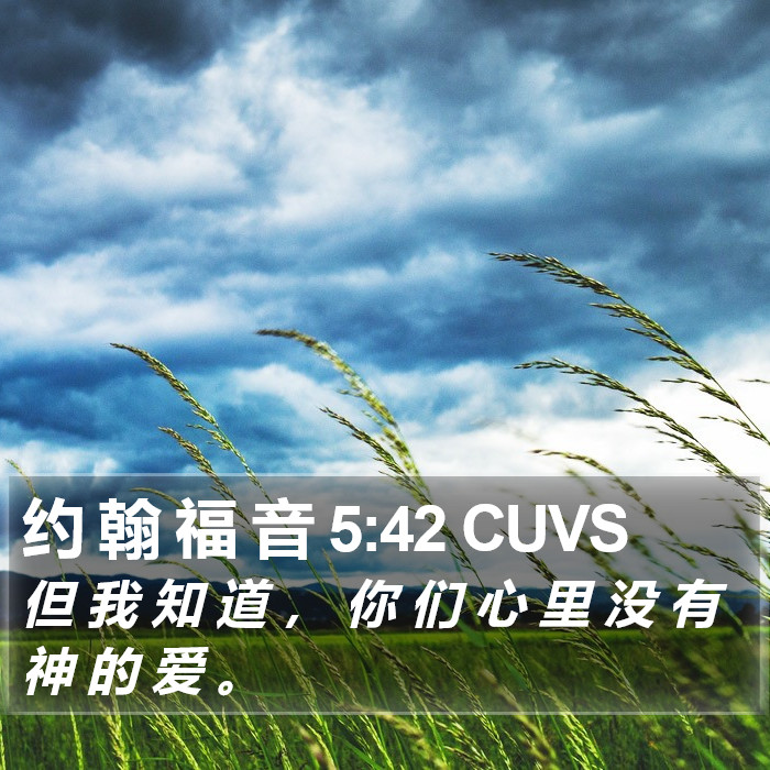 约 翰 福 音 5:42 CUVS Bible Study