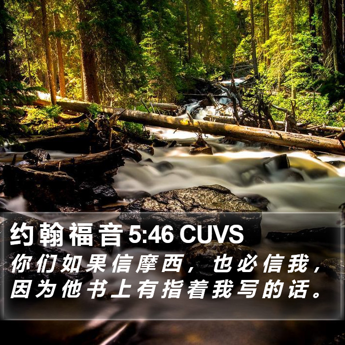 约 翰 福 音 5:46 CUVS Bible Study