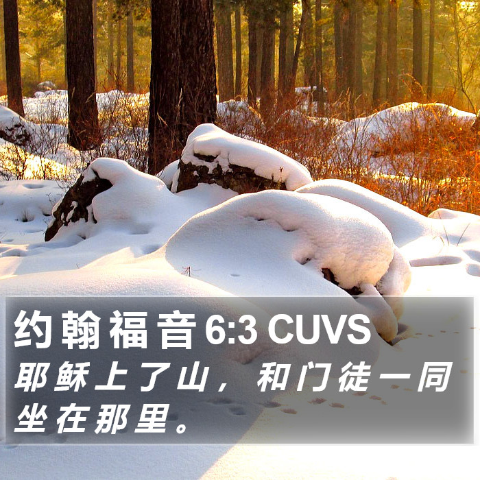 约 翰 福 音 6:3 CUVS Bible Study