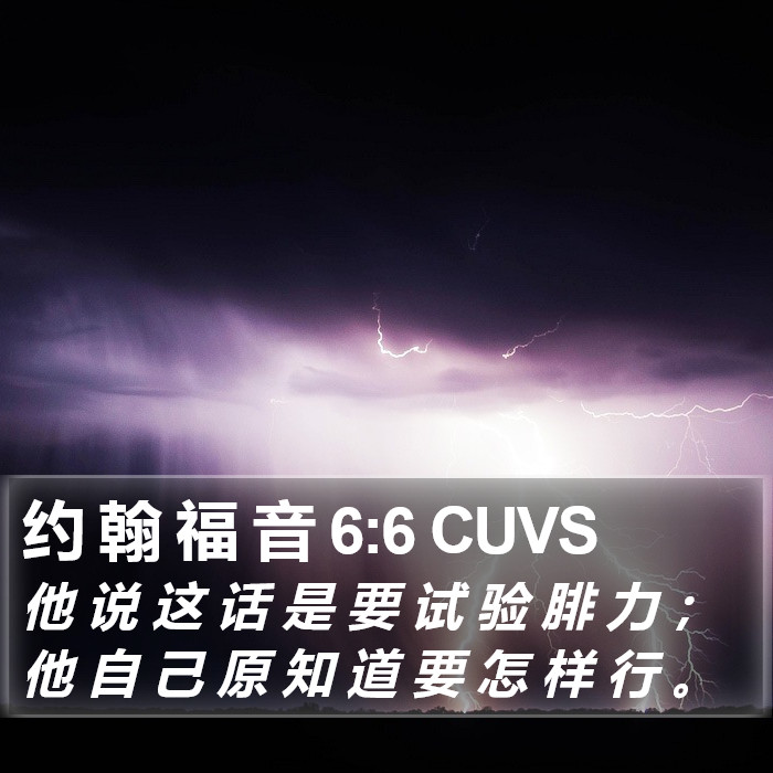 约 翰 福 音 6:6 CUVS Bible Study