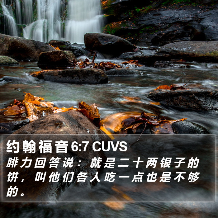 约 翰 福 音 6:7 CUVS Bible Study