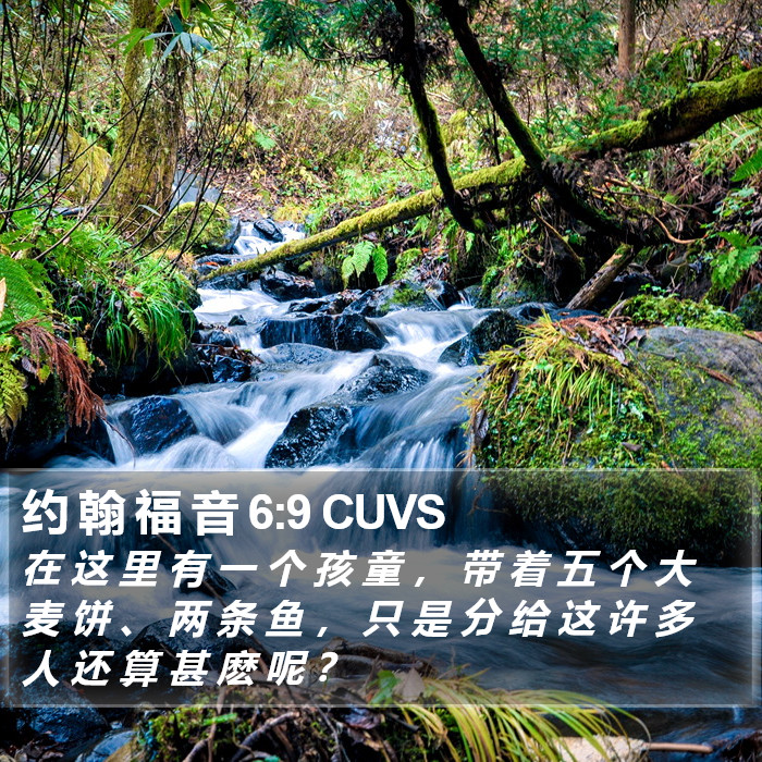 约 翰 福 音 6:9 CUVS Bible Study