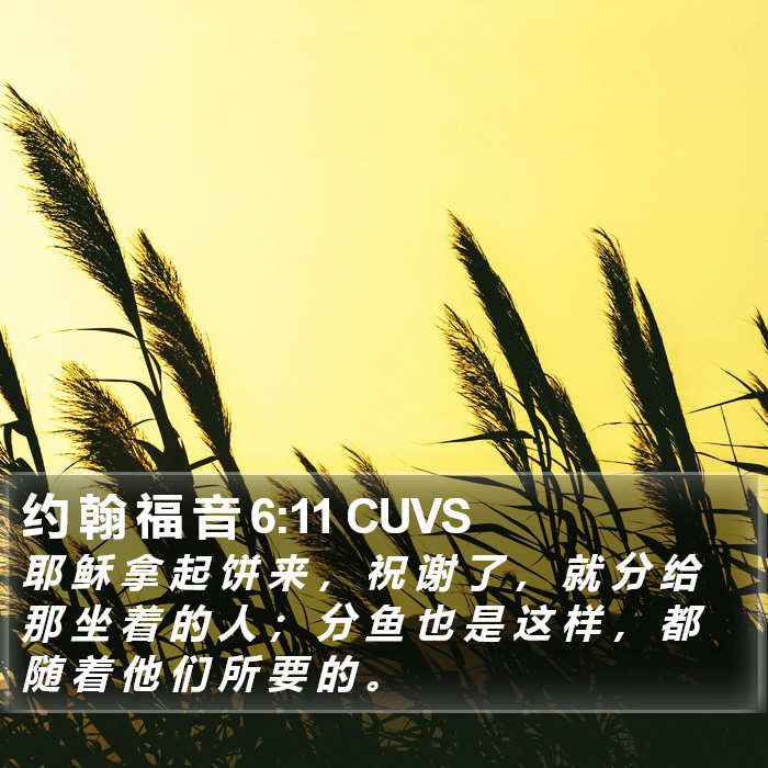 约 翰 福 音 6:11 CUVS Bible Study