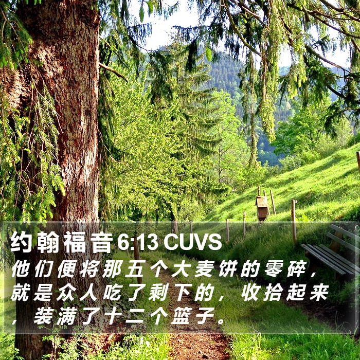 约 翰 福 音 6:13 CUVS Bible Study