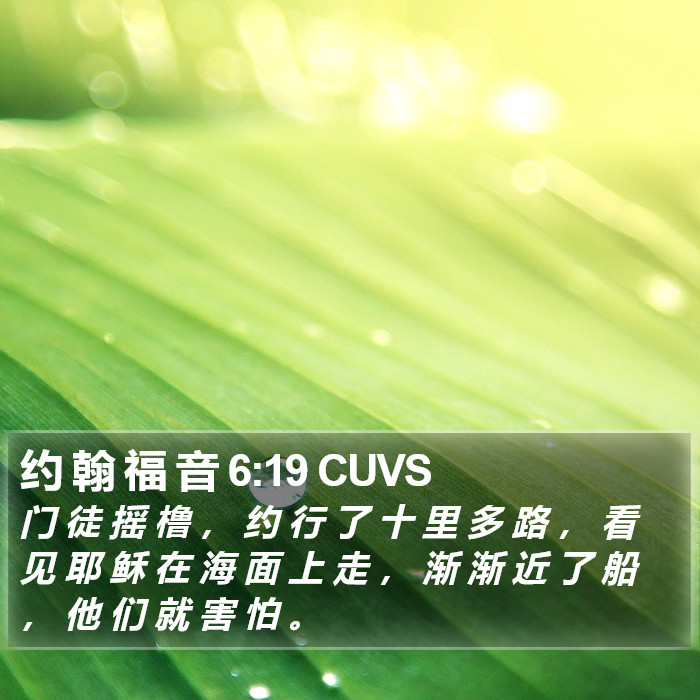 约 翰 福 音 6:19 CUVS Bible Study