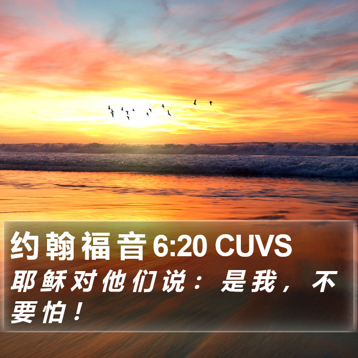 约 翰 福 音 6:20 CUVS Bible Study