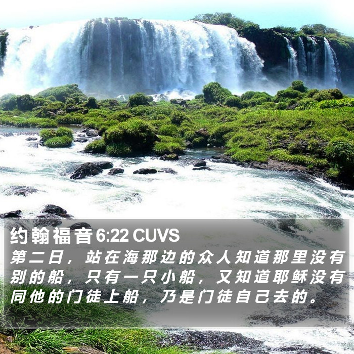 约 翰 福 音 6:22 CUVS Bible Study