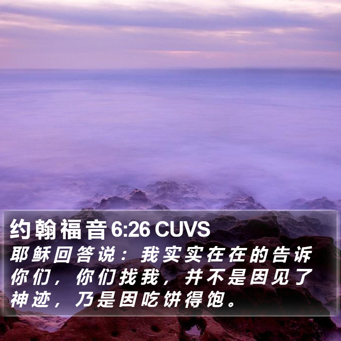 约 翰 福 音 6:26 CUVS Bible Study