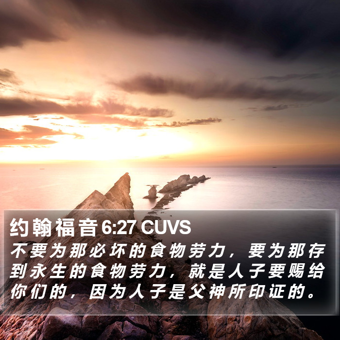 约 翰 福 音 6:27 CUVS Bible Study