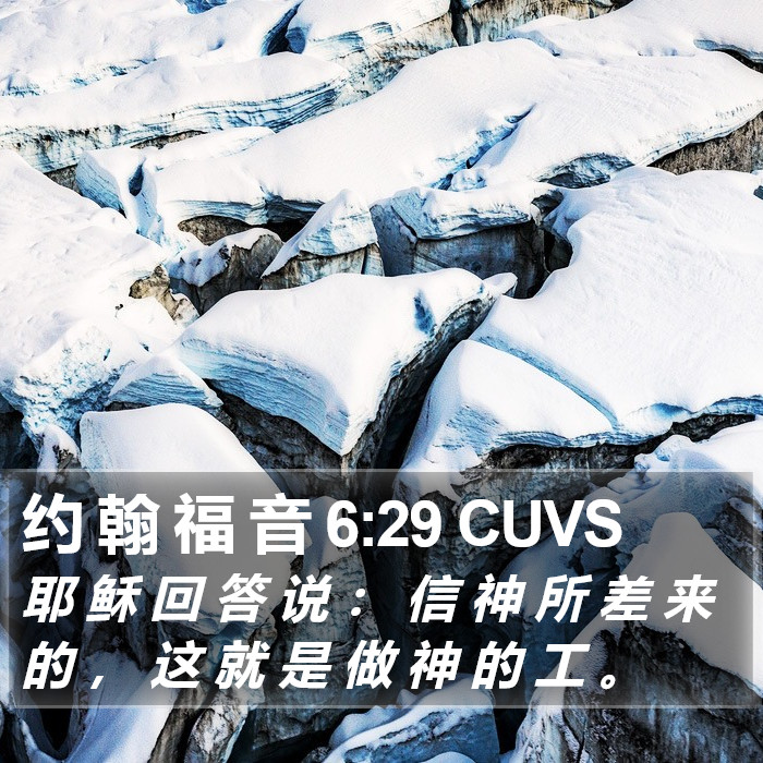 约 翰 福 音 6:29 CUVS Bible Study