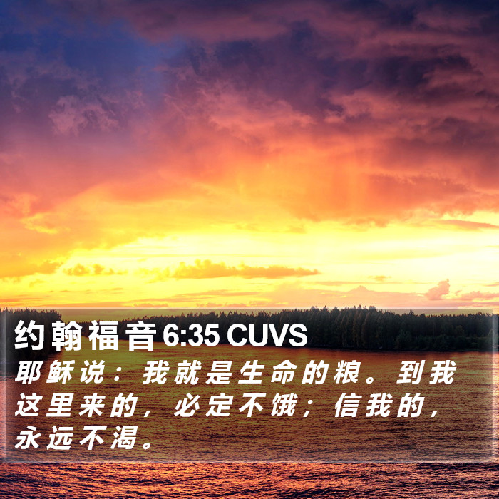 约 翰 福 音 6:35 CUVS Bible Study