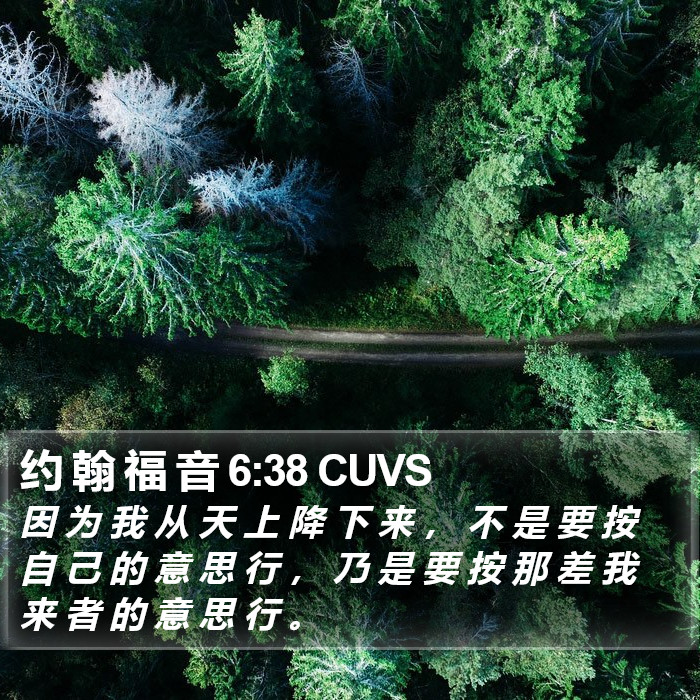 约 翰 福 音 6:38 CUVS Bible Study