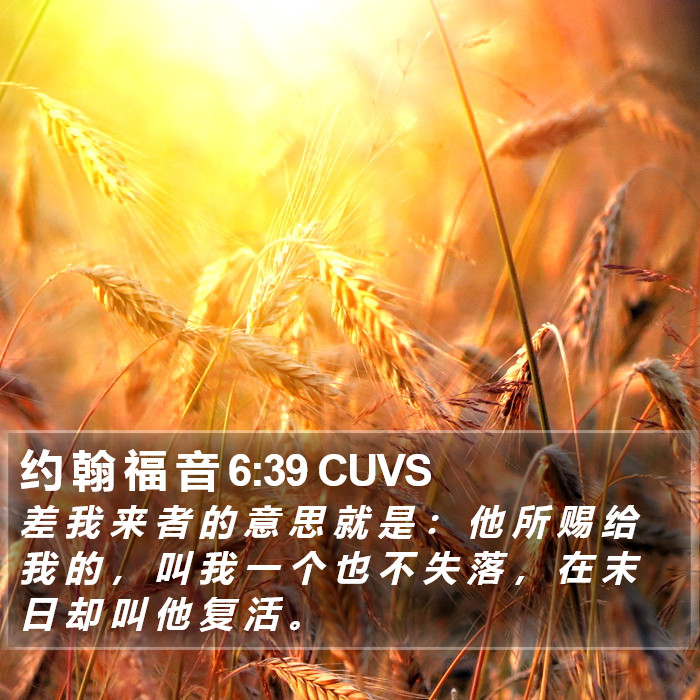 约 翰 福 音 6:39 CUVS Bible Study