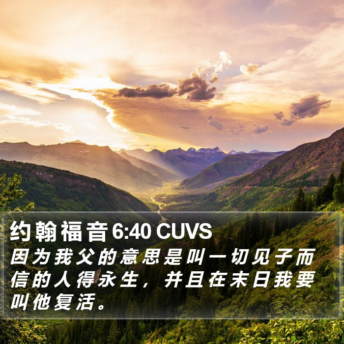 约 翰 福 音 6:40 CUVS Bible Study