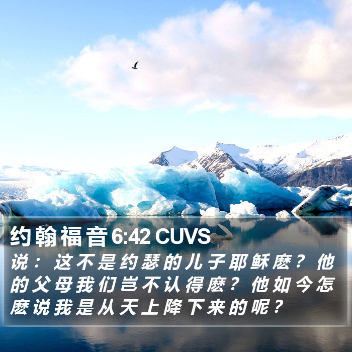 约 翰 福 音 6:42 CUVS Bible Study