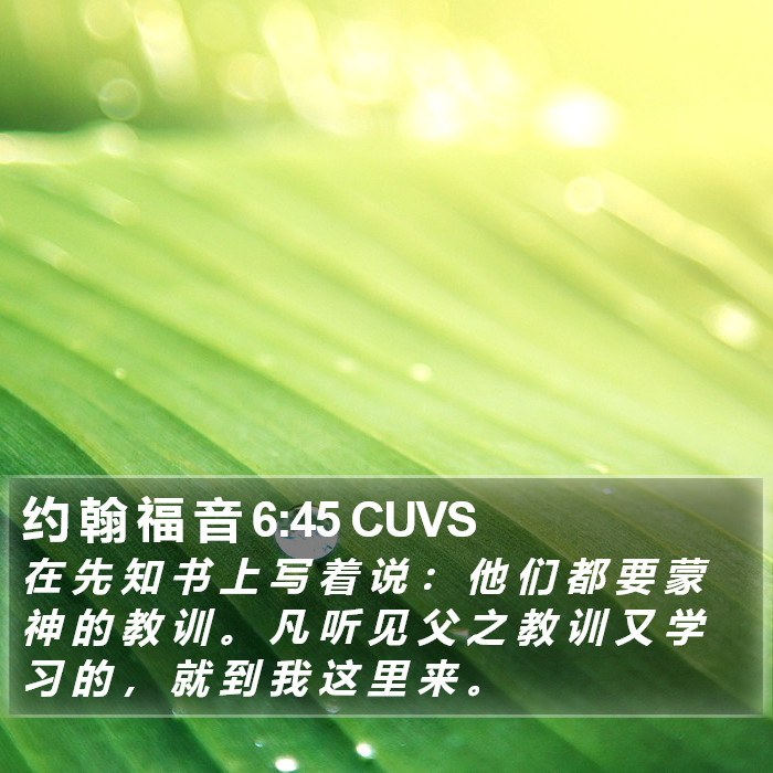 约 翰 福 音 6:45 CUVS Bible Study