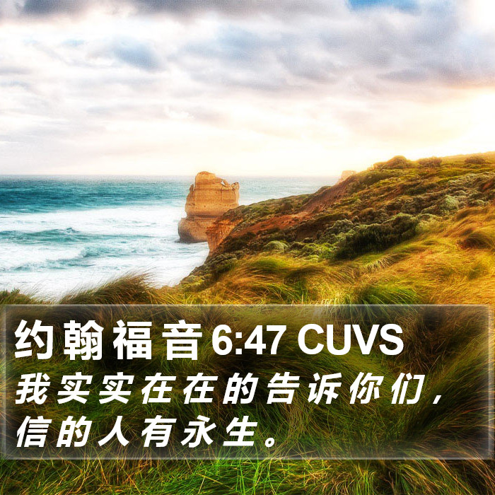 约 翰 福 音 6:47 CUVS Bible Study