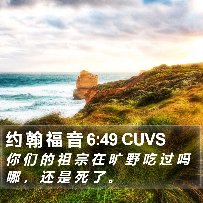 约 翰 福 音 6:49 CUVS Bible Study