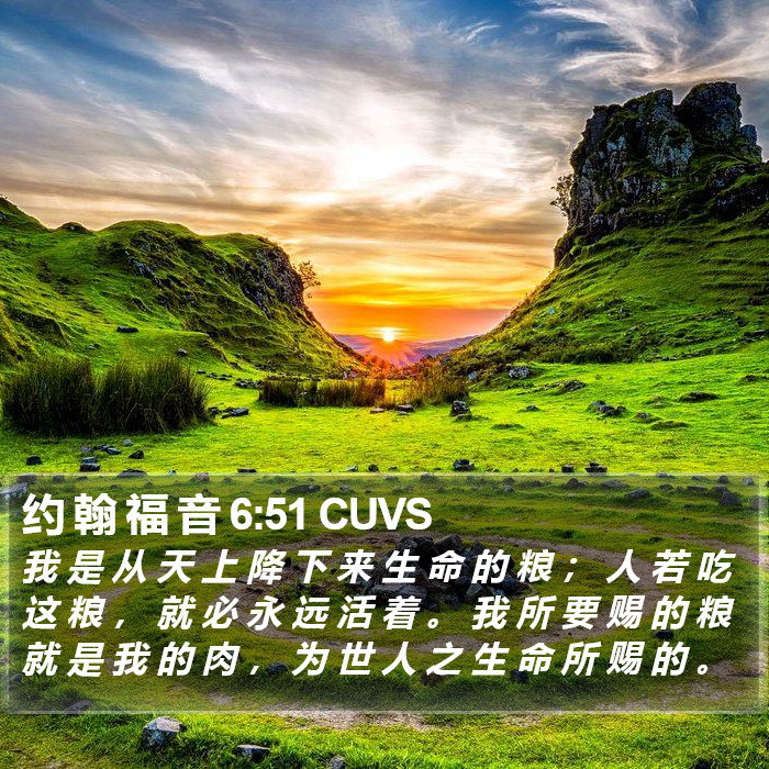 约 翰 福 音 6:51 CUVS Bible Study