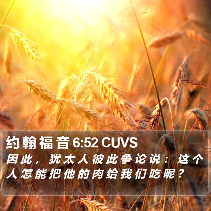 约 翰 福 音 6:52 CUVS Bible Study